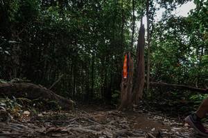 BIB: 
                            <button type="button" onclick="openModal(25806646)" class="btn btn-primary btn-sm float-right btn-popup" data-toggle="modal" data-target=".modal-high-quality">
                        <i class="fas fa-shopping-cart"></i> Add to Cart
                    </button>
                                            <button type="button" onclick="isThisMe(25806646, true)" class="btn btn-success btn-sm float-right btn-popup btn-isme hidden" data-toggle="tooltip" data-placement="bottom" title="นี่คือรูปของคุณใช่ไหม คลิกที่นี่เพื่อเอาเข้าอัลบั้ม">
                        <i class="fas fa-plus"></i> Add to album
                    </button>
                    <button type="button" onclick="isThisMe(25806646, false)" class="btn btn-warning btn-sm float-right btn-popup btn-isnotme hidden">
                        <i class="fas fa-ban"></i> Remove from album
                    </button>